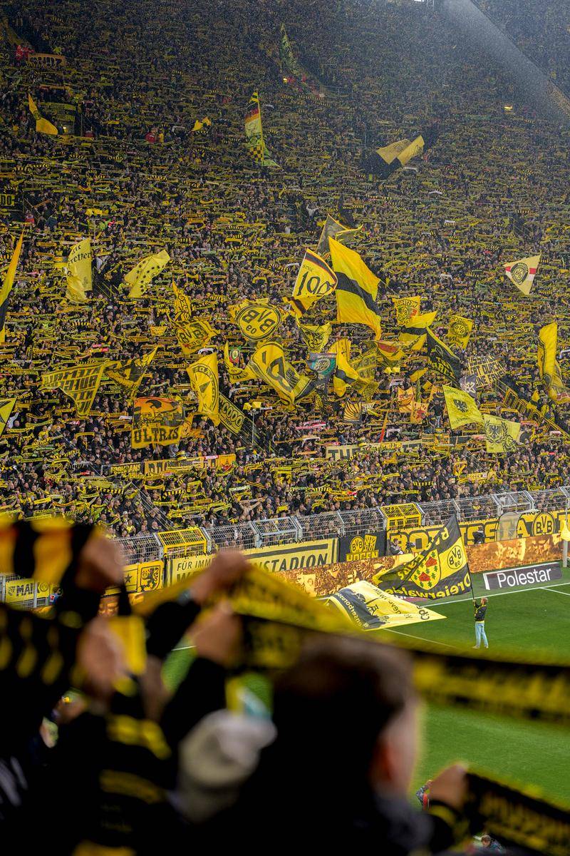 金年会足球-包含集结日全明星赛传出新动向；巴黎圣日耳曼战术微调；管理层表态——压力陡增；高层口径保持一致的词条